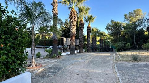 Foto 2 de Finca rústica en venda a Camino Camino de Ayamonte, Ayamonte ciudad, Ayamonte