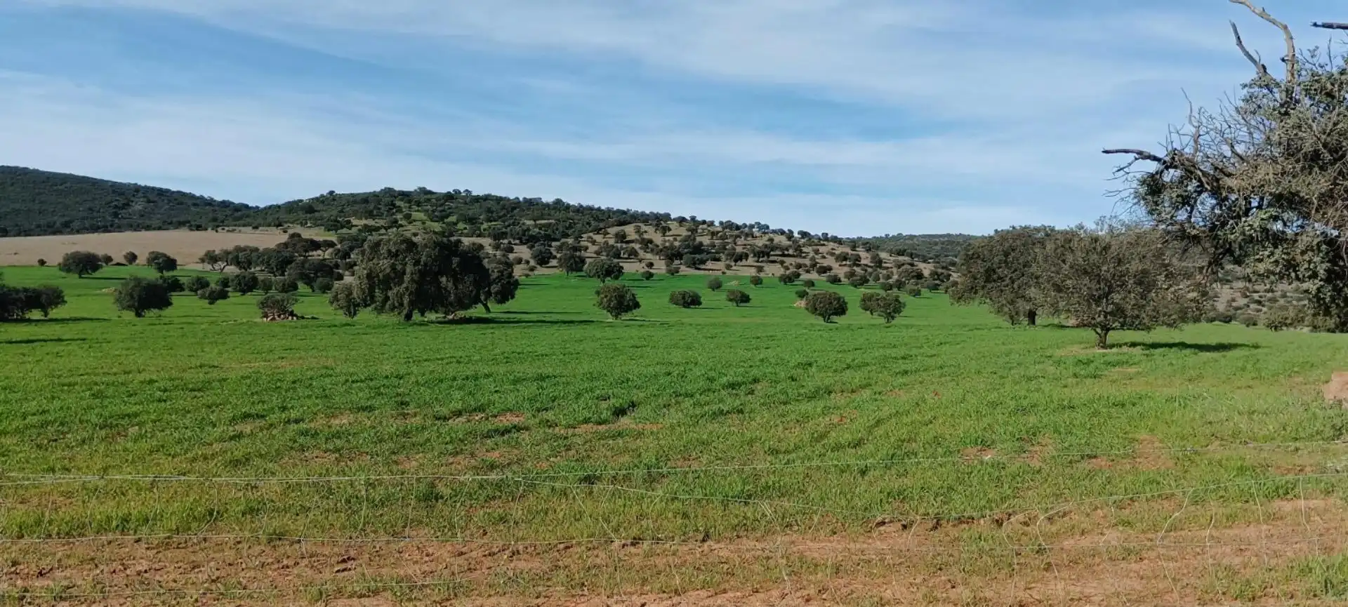 Terreno en venta en Peñarroya-Pueblonuevo