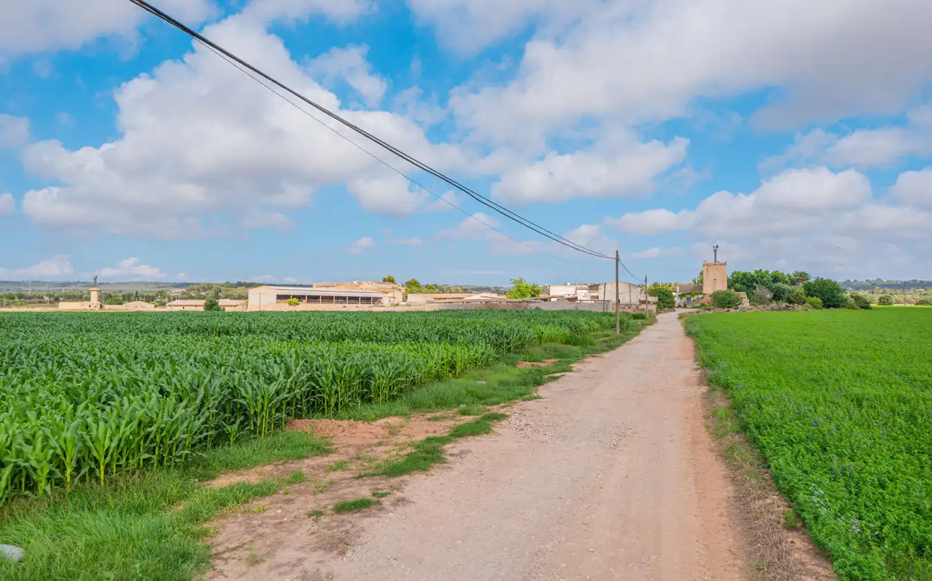 Casa rústica en venta en Montuïri, imagen 29