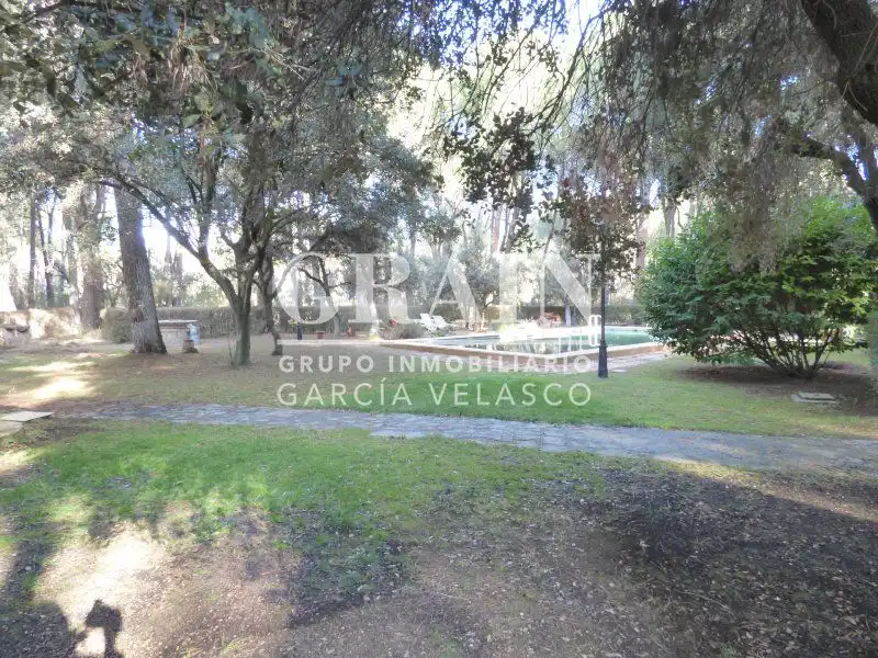Chalet con piscina en venta en Pedanías - Extrarradio, imagen 4