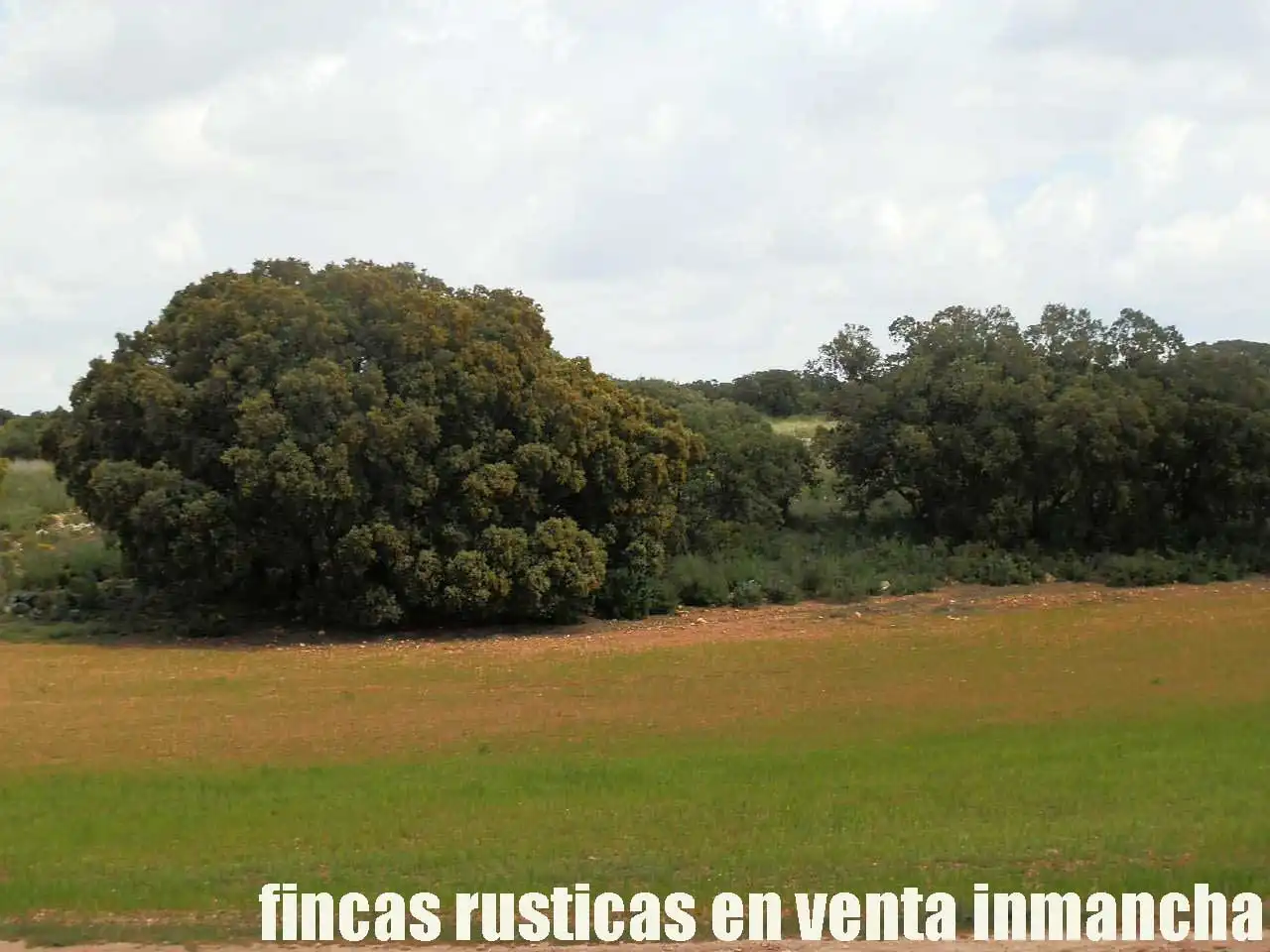 Terreno rustico in vendita a Ruidera, imagen 15