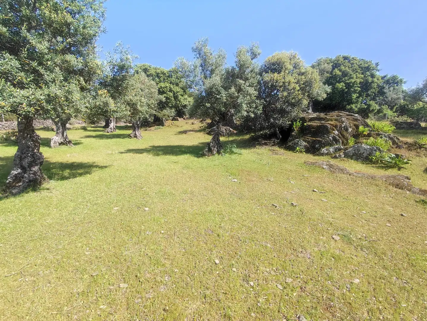 Terreni e lotti in vendita a Miralvalle - Av. Virgen del Puerto - La Data