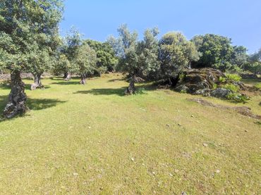 Terrain rustique à vendre à Miralvalle - Av. Virgen del Puerto - La Data