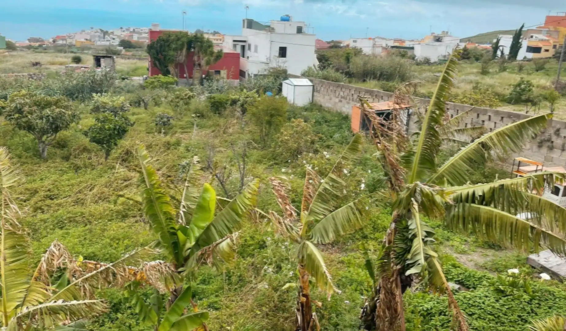 Casa o xalet en venda en Moya (Las Palmas) amb Traster