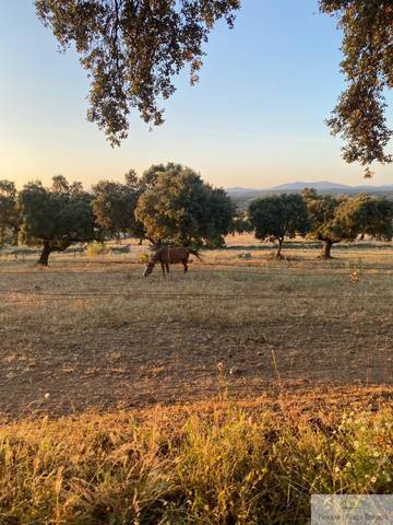 Terreno residencial en Venta en Badajoz en Aljucén