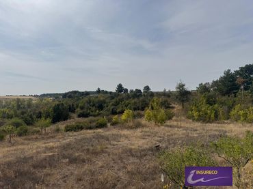 Terreno rustico in vendita a Golpejar-Gs