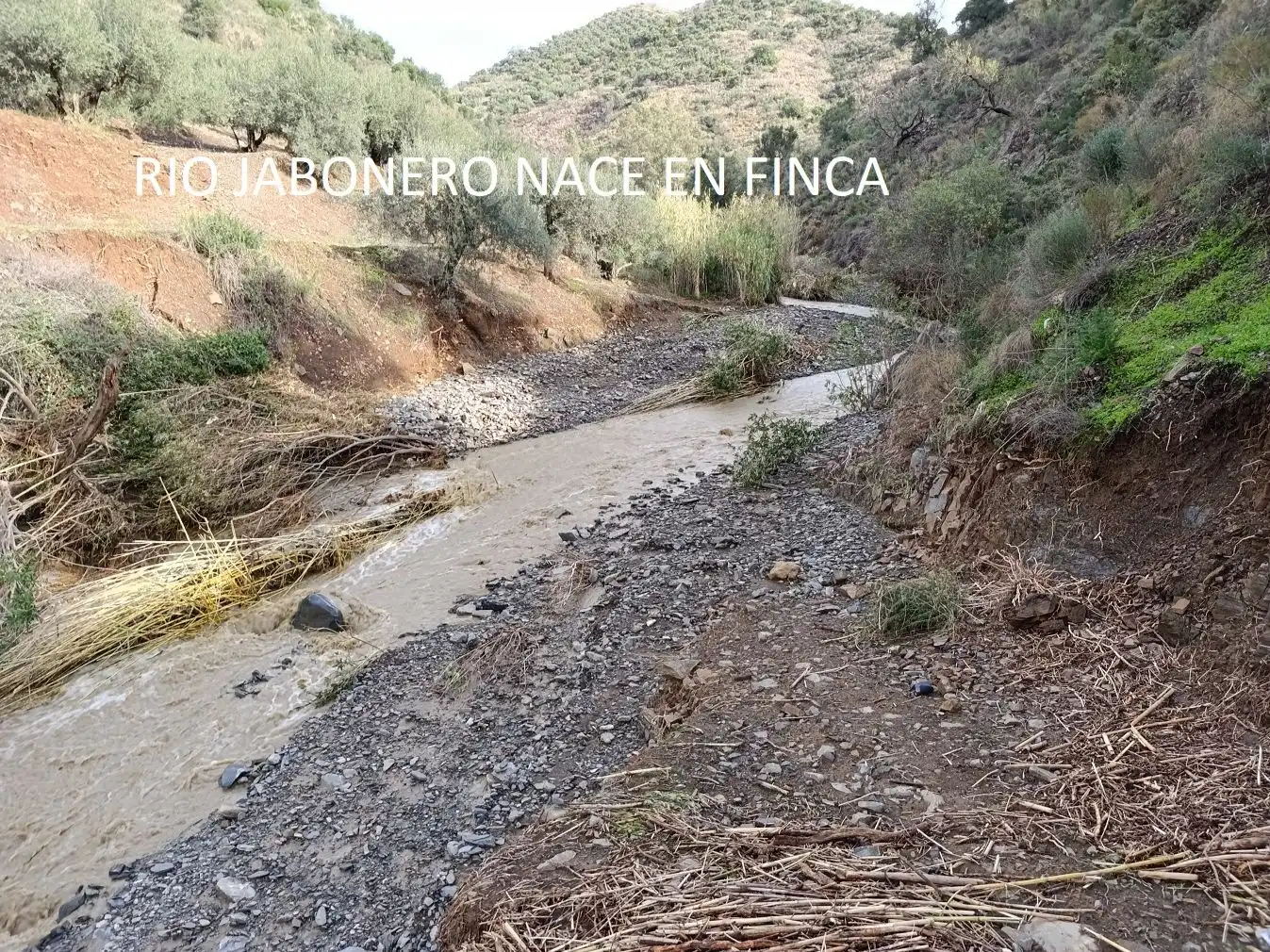 Vista exterior de Terreno en venta en Málaga