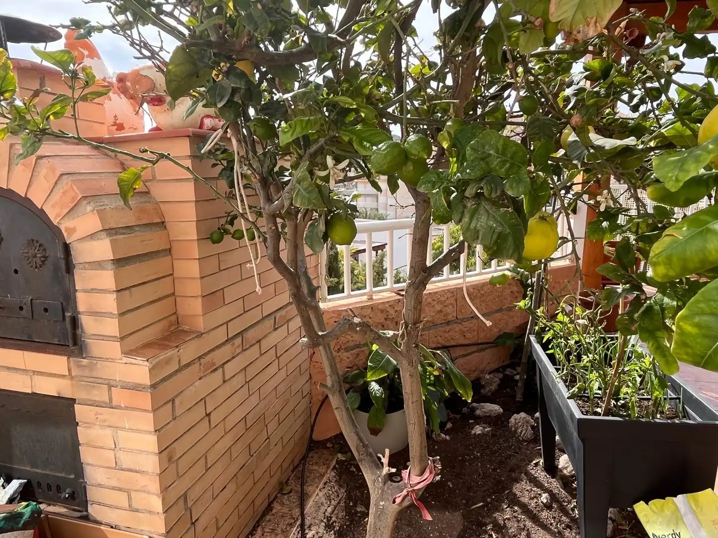 Detached house with terrace for sale in El Hornillo, imagen 20