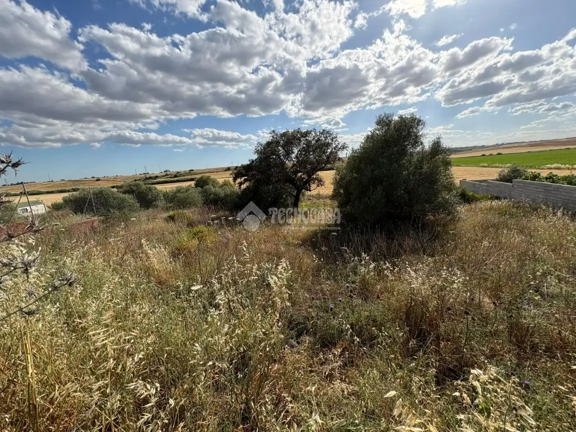 Terreny residencial en venda a Sanlúcar la Mayor, imagen 15