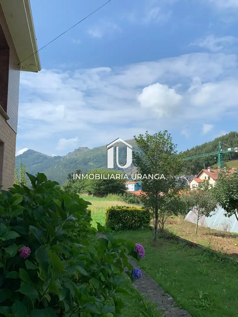 Casa amb jardí en venda a Conde albox