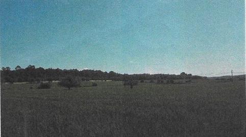 Photo 4 of Residential for sale in Sant Joan, Illes Balears