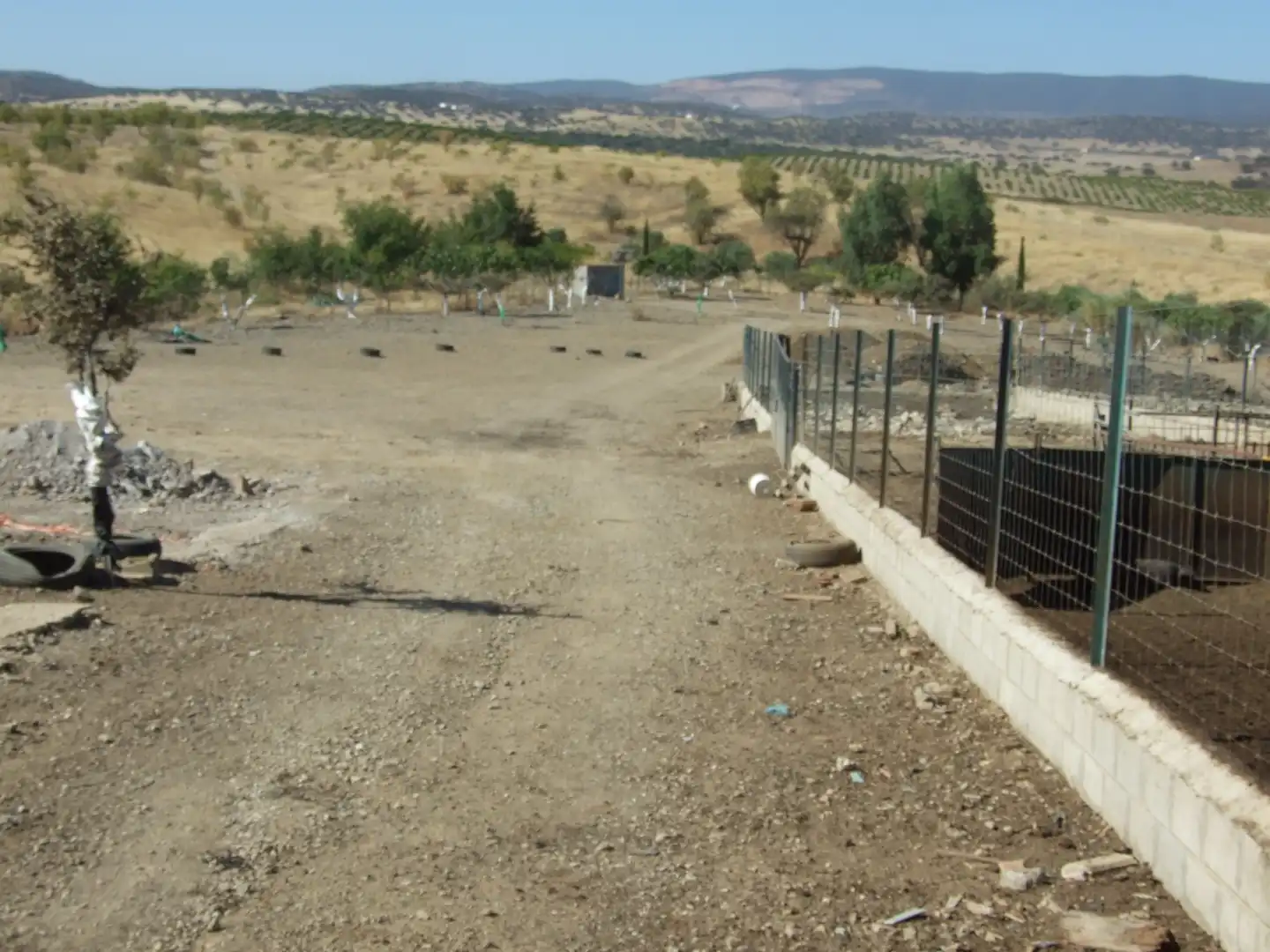 Terreno rustico in vendita a Carretera Fuente del Maestre-Huerta Julián 44, imagen 5