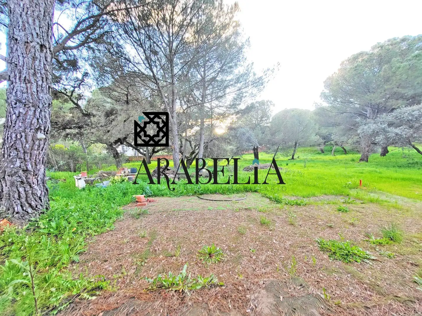 Houses for sale in Córdoba  with Private garden and Terrace