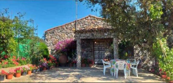 Foto 1 de Residencial en venda a Cc-20.2, Villar del Pedroso, Cáceres