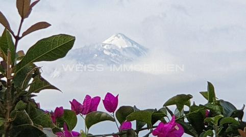 Foto 3 de Casa o chalet en venta en El Sauzal, Santa Cruz de Tenerife