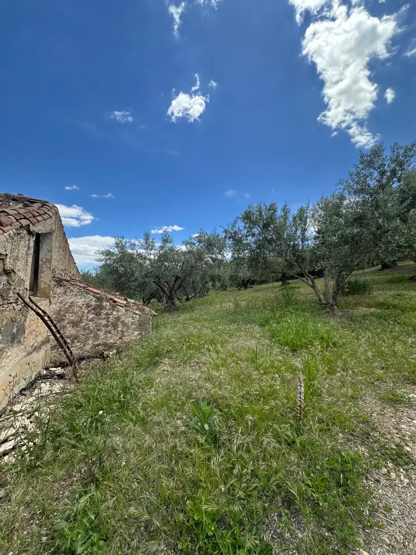 Terreni e lotti in vendita a Periana, imagen 44