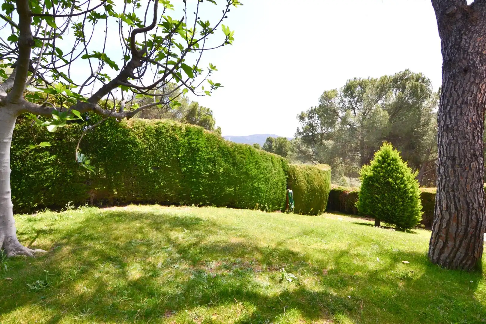 Jardí de Casa o xalet en venda en San Martín de Valdeiglesias amb Jardí privat, Terrassa i Traster