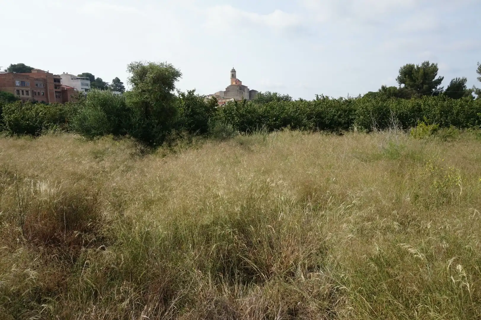 Maison rustique à vendre à Les Borges del Camp, imagen 5