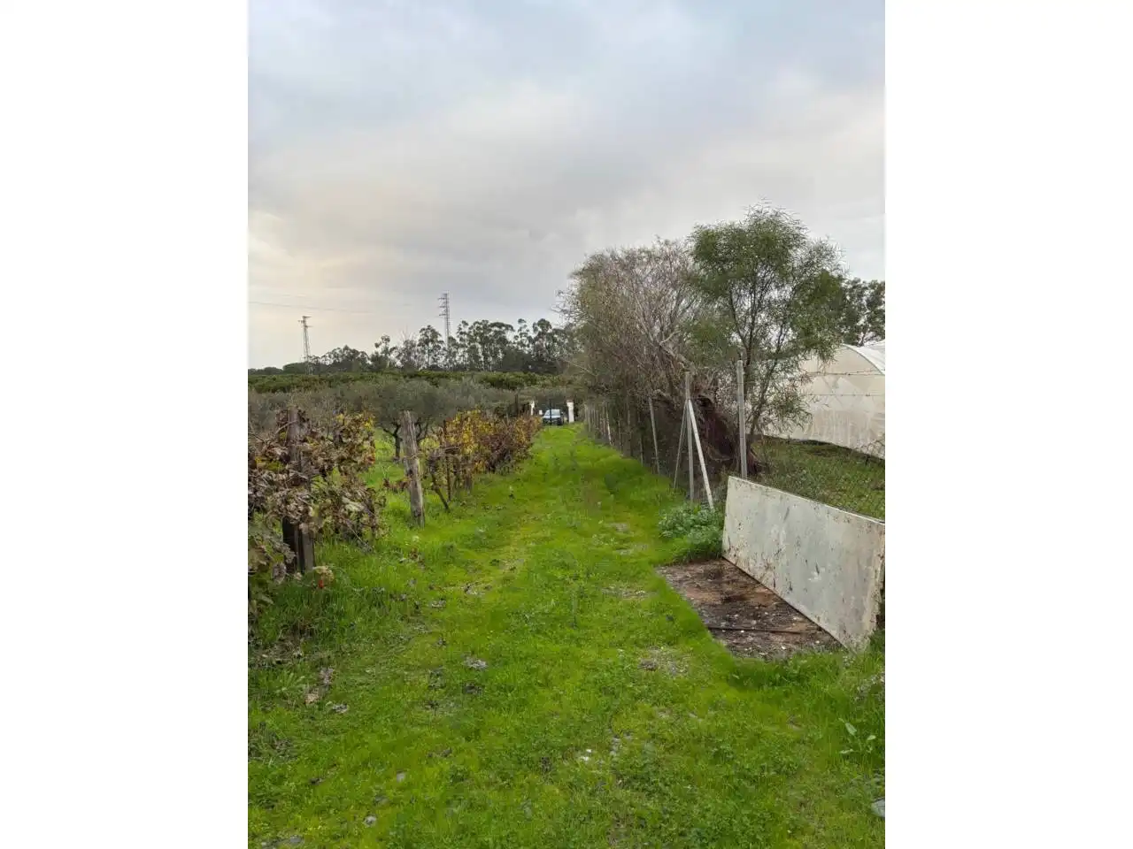 Terrenos y solares en venta en Camino Pocitos, imagen 3