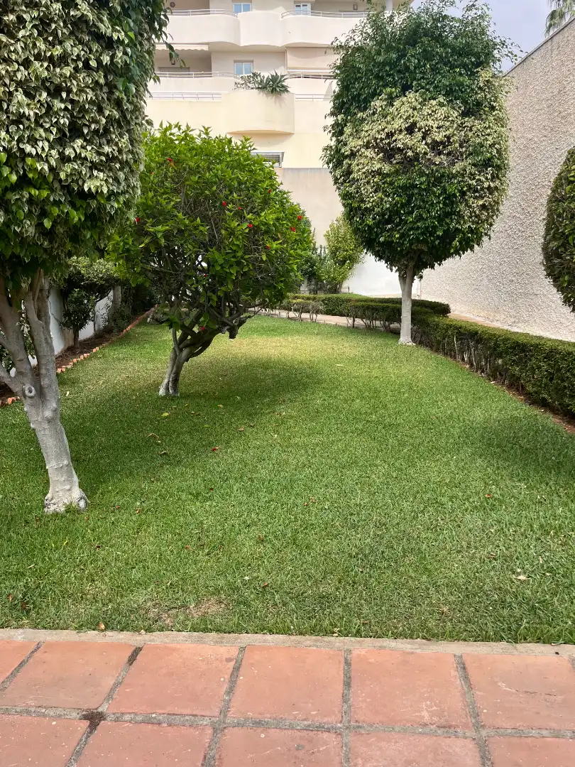 Appartamento con piscina in affitto a Puerto Marina, imagen 20
