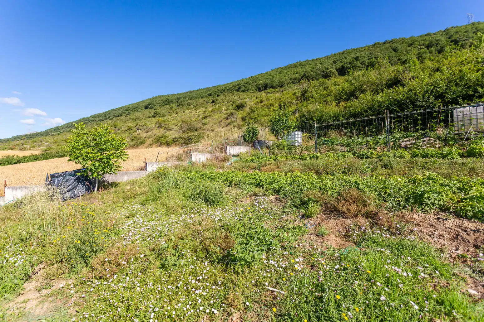 Wohnbaugrundstück zum Verkauf in Ochovi - San Juan 42, imagen 2
