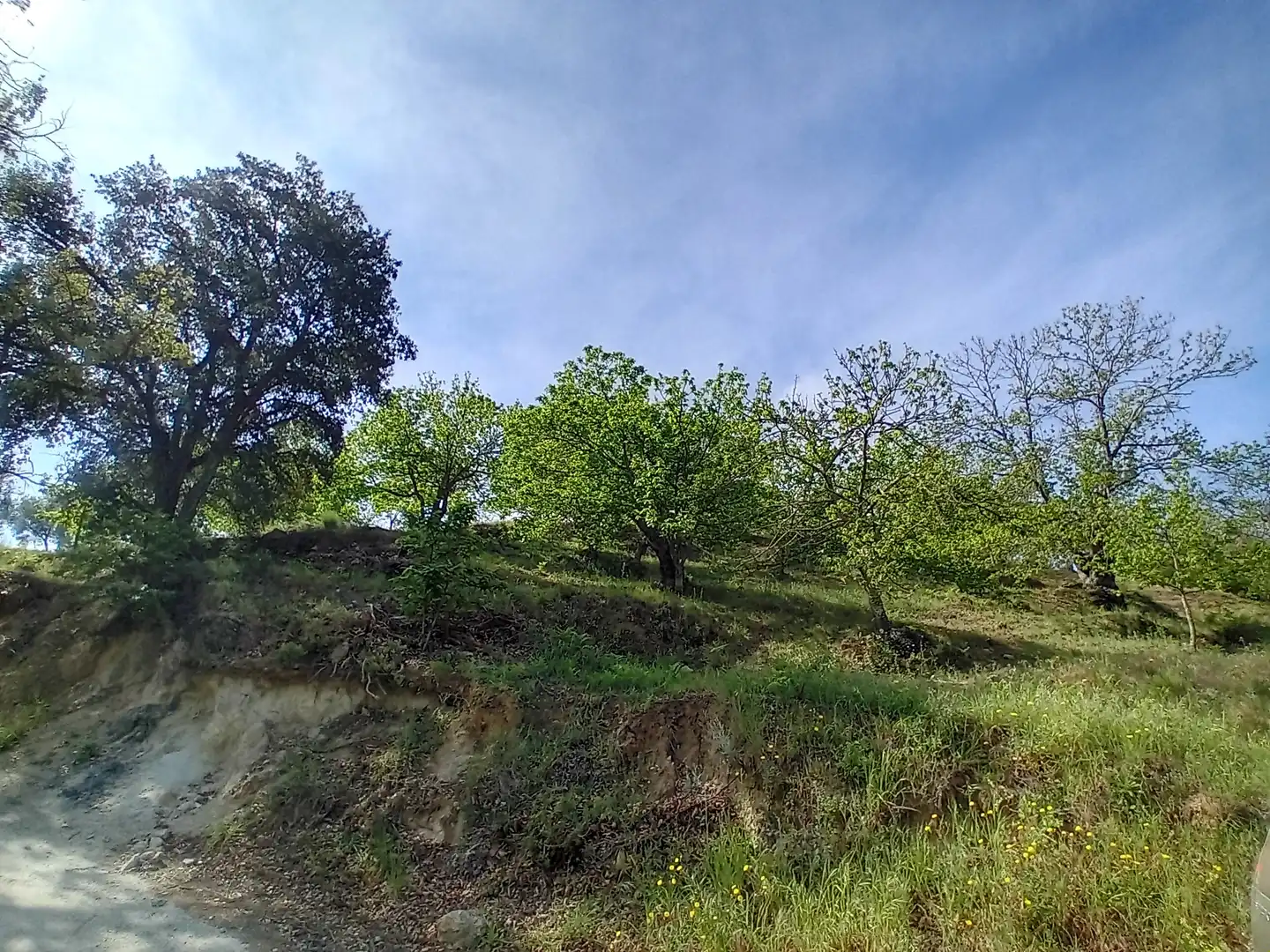 Terreno rústico en venta en Yunquera, imagen 9