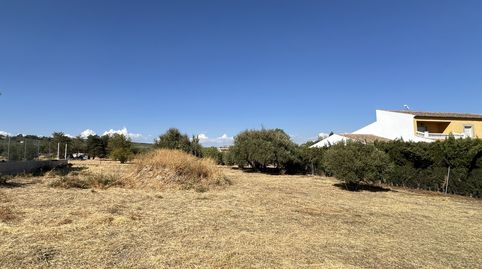 SE VENDE SOLAR ZONA EL CAMPILLO, immagine 4