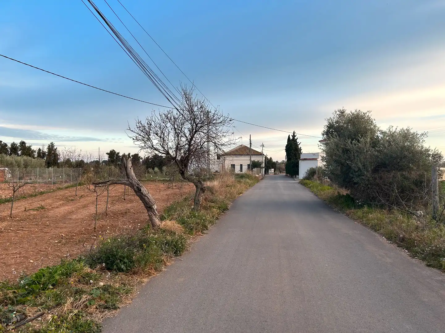 Houses for sale in Alcalà de Xivert