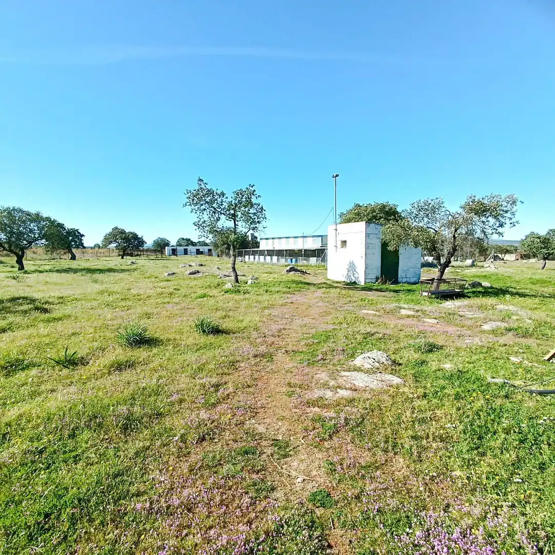 Casa o xalet en venda en Valverde de Mérida amb Aire condicionat