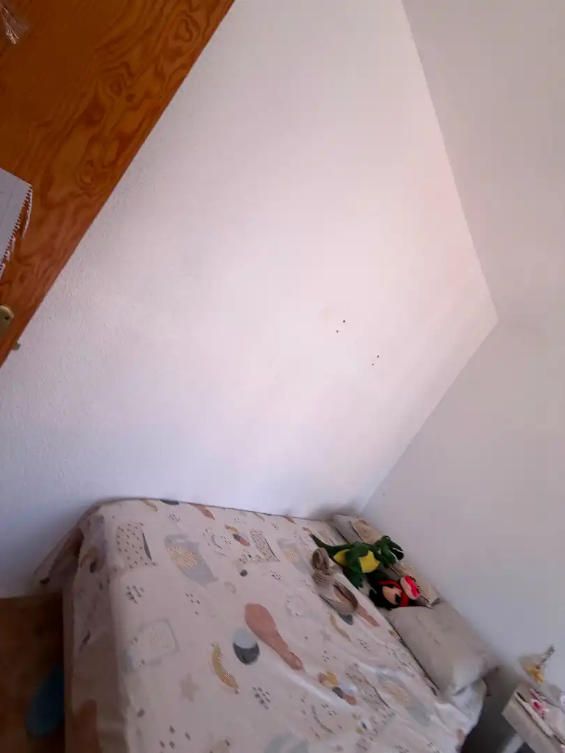 Maison mitoyenne avec piscine à vendre à Calle Francisco Diez Martinez, imagen 25