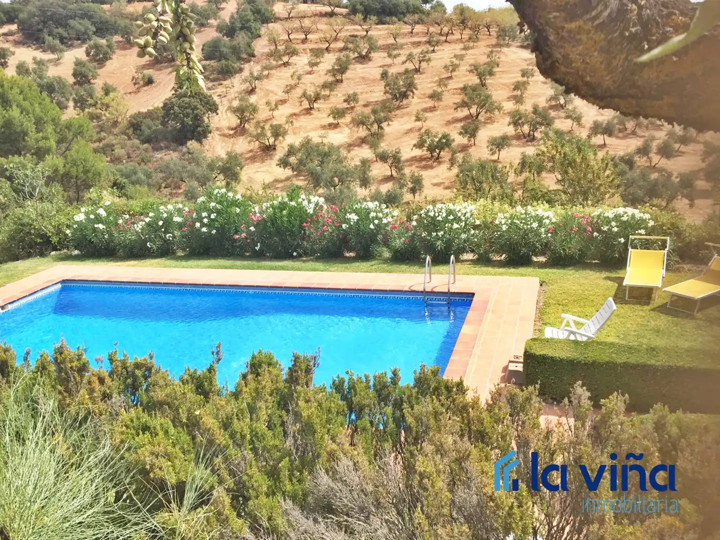 Chalet con piscina en venta en Villanueva del Rosario, imagen 16