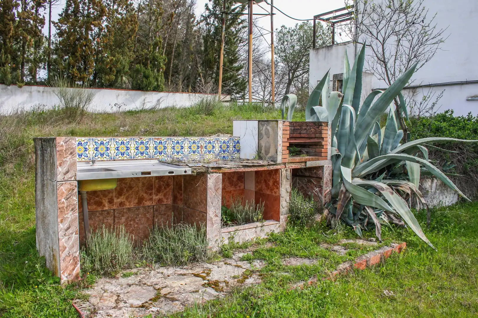 Garden of Land for sale in Azuaga