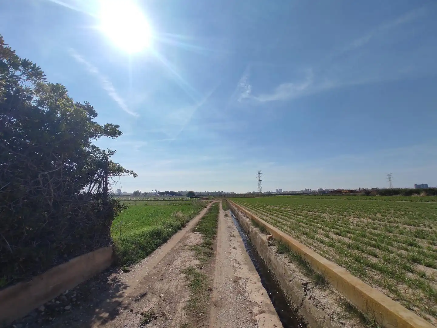 Land for sale in Valencia