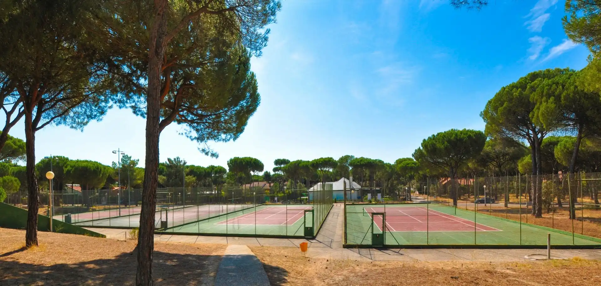 Jardín de Casa o chalet en venta en Tordesillas con Calefacción, Jardín privado y Parquet