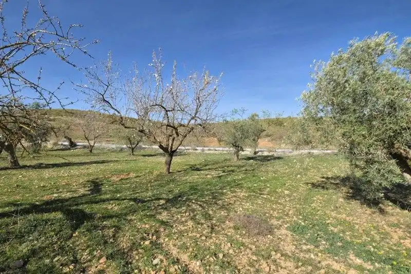 Terreno rustico in vendita a El Valle, imagen 16