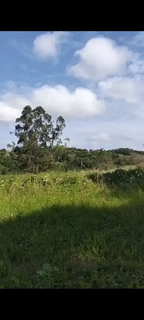 Finca rústica en venta en Valdáliga