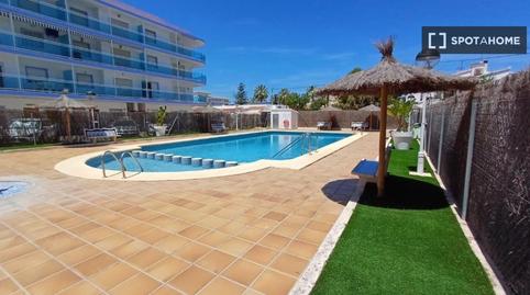 Foto 3 de Apartament per a compartir a El Palmar - Los Molinos, Alicante