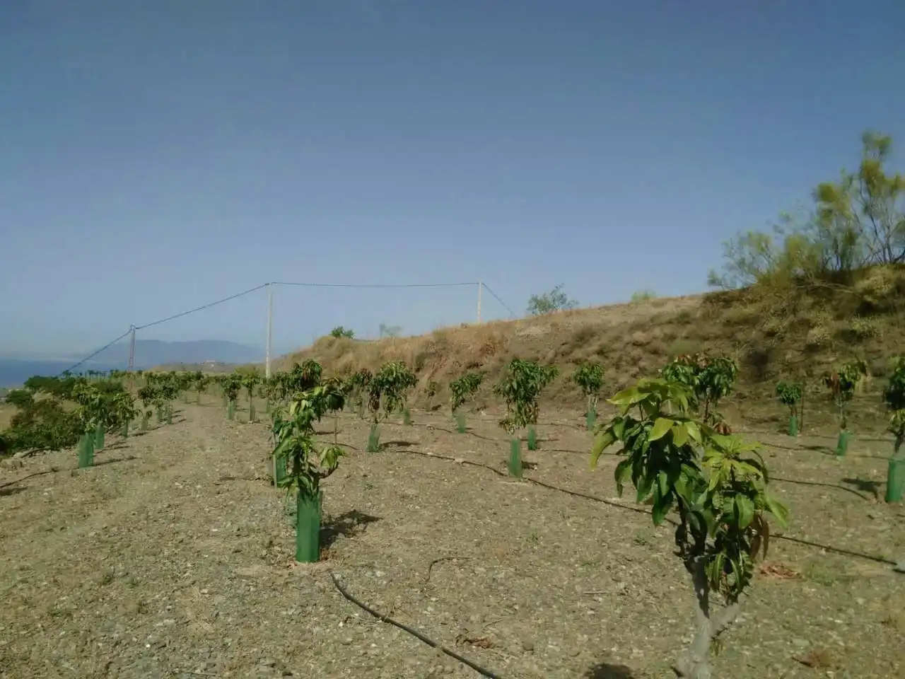 Casa o xalet en venda en Rincón de la Victoria