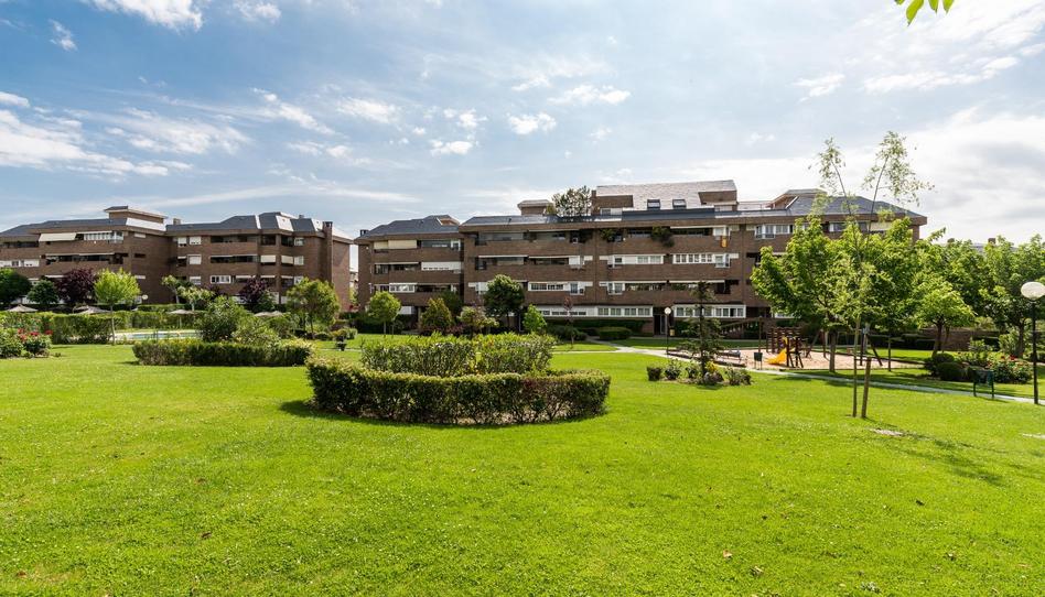 Photo 1 of Planta baja to rent in Golf - El Carralero, Madrid