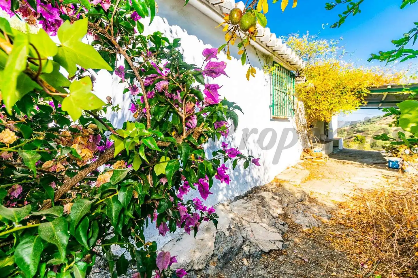 Casa con jardín en venta en Arenas, imagen 5
