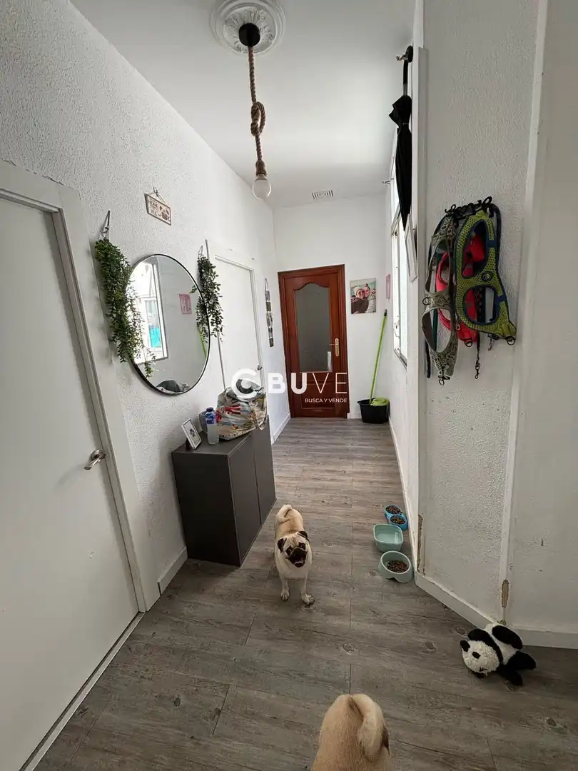 Piso en venta en PASTORA, imagen 5