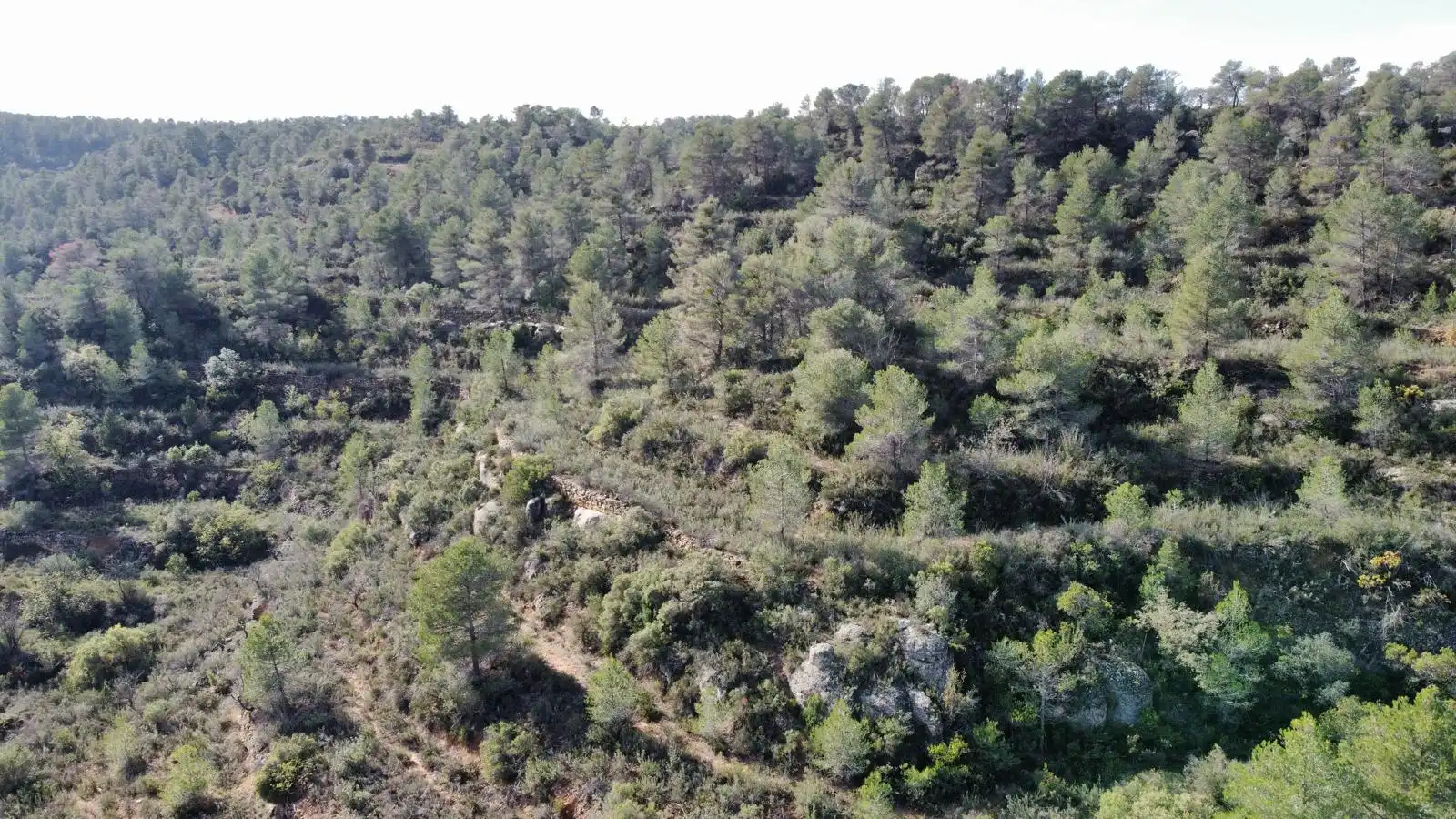 Terreno rustico in vendita a Cervià de Les Garrigues, imagen 13
