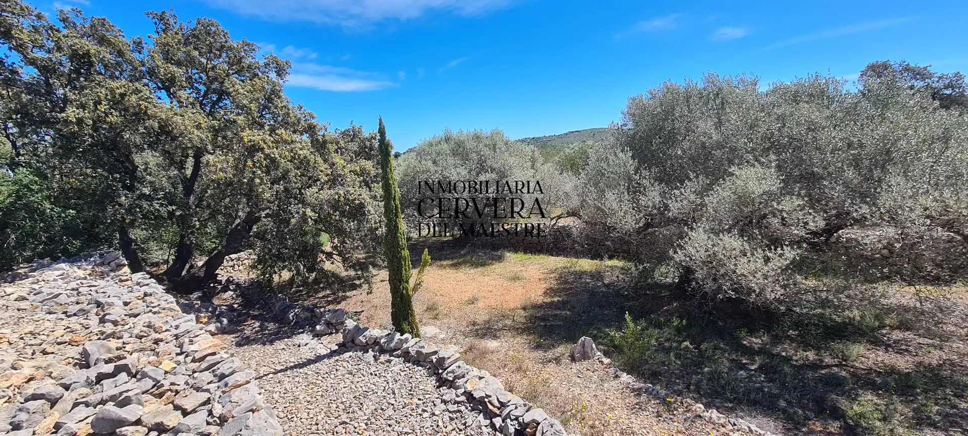 Terreno rustico in vendita a Cervera del Maestre, imagen 3