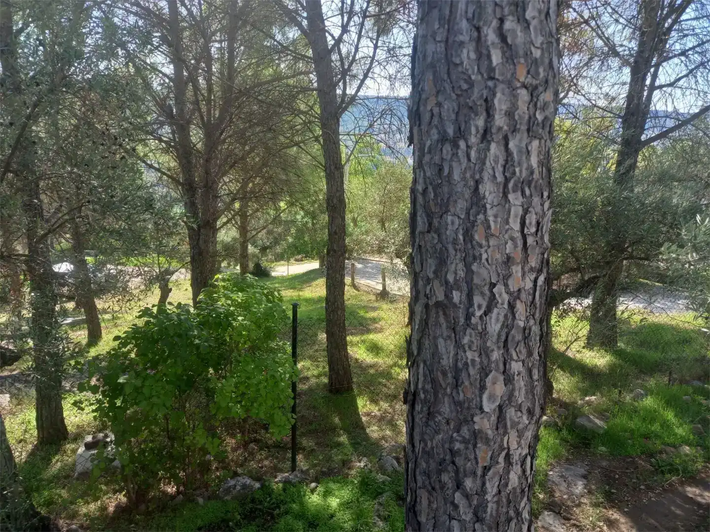 Casa o xalet en venda en Ambite amb Piscina