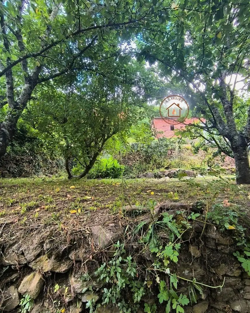 Casa o xalet en venda en Pantón amb Calefacció, Jardí privat i Terrassa