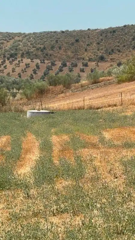 Finca rústica en venda en El Saucejo amb Aire condicionat, Calefacció i Moblat