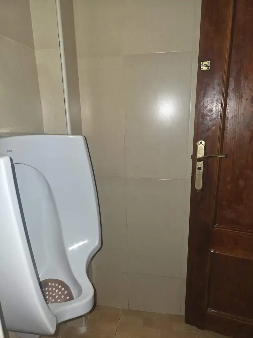 Local comercial en venta en Avenida FERNANDO PEREZ OJEDA, imagen 27