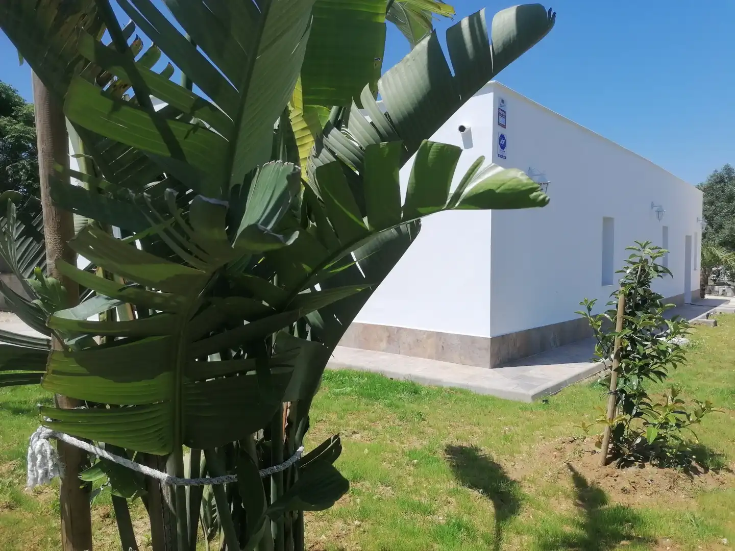Detached house for sale in Barrio Nuevo, imagen 2