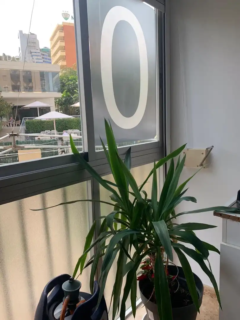 Apartament amb ascensor en venda a Rincón de Loix, imagen 8