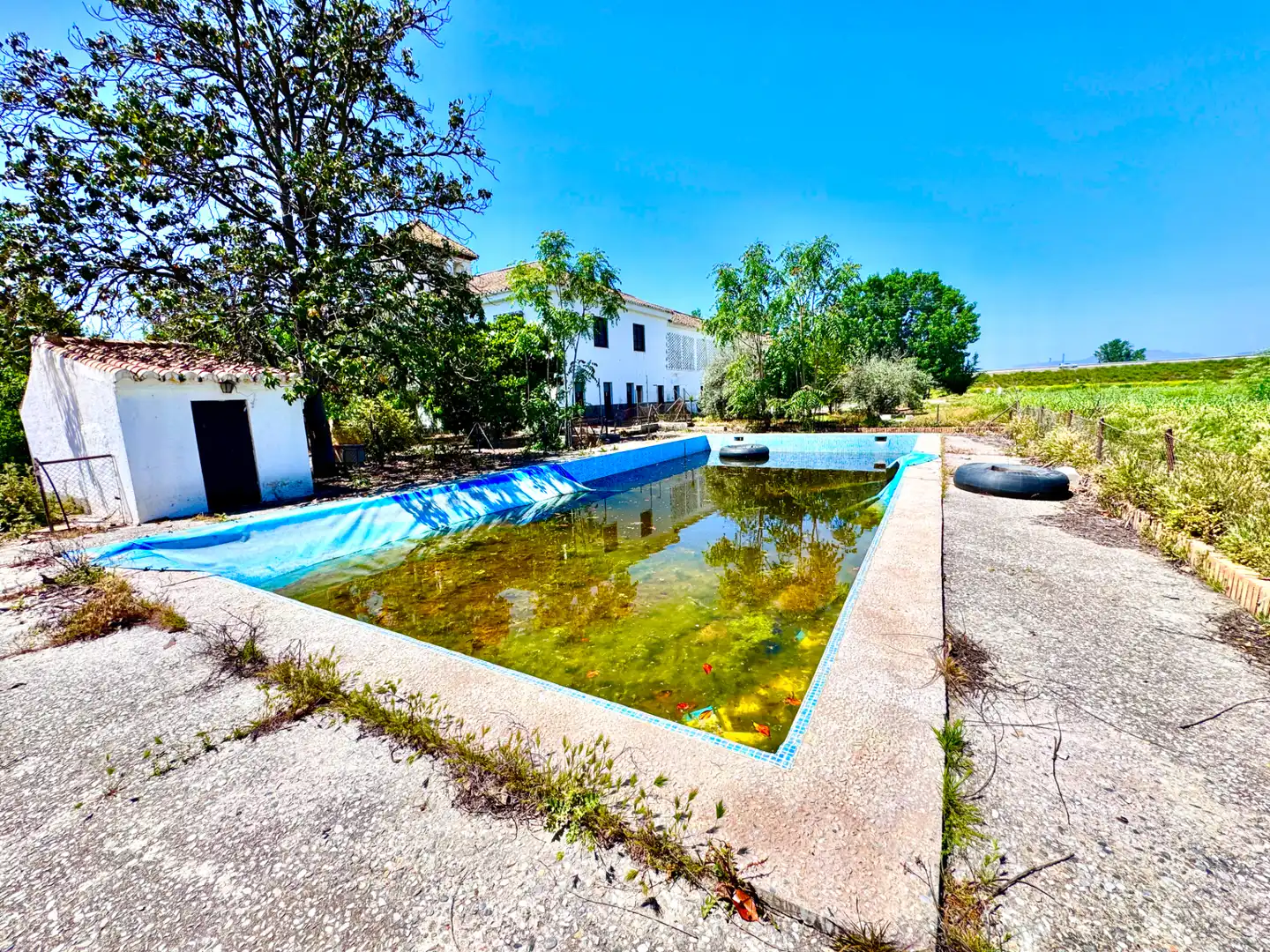 Piscina de Casa o chalet en venta en Granada con Jardín privado, Terraza y Trastero